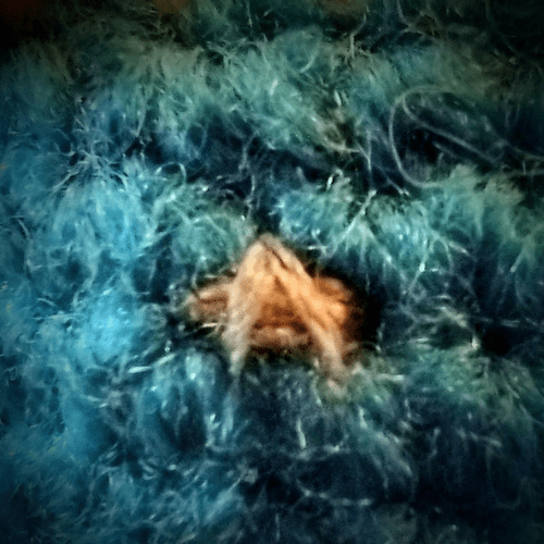 A very close view of the comm badge seen on the blue uniformed chicken in other pictures on this page. A silver arrow head sitting over a gold oblong.